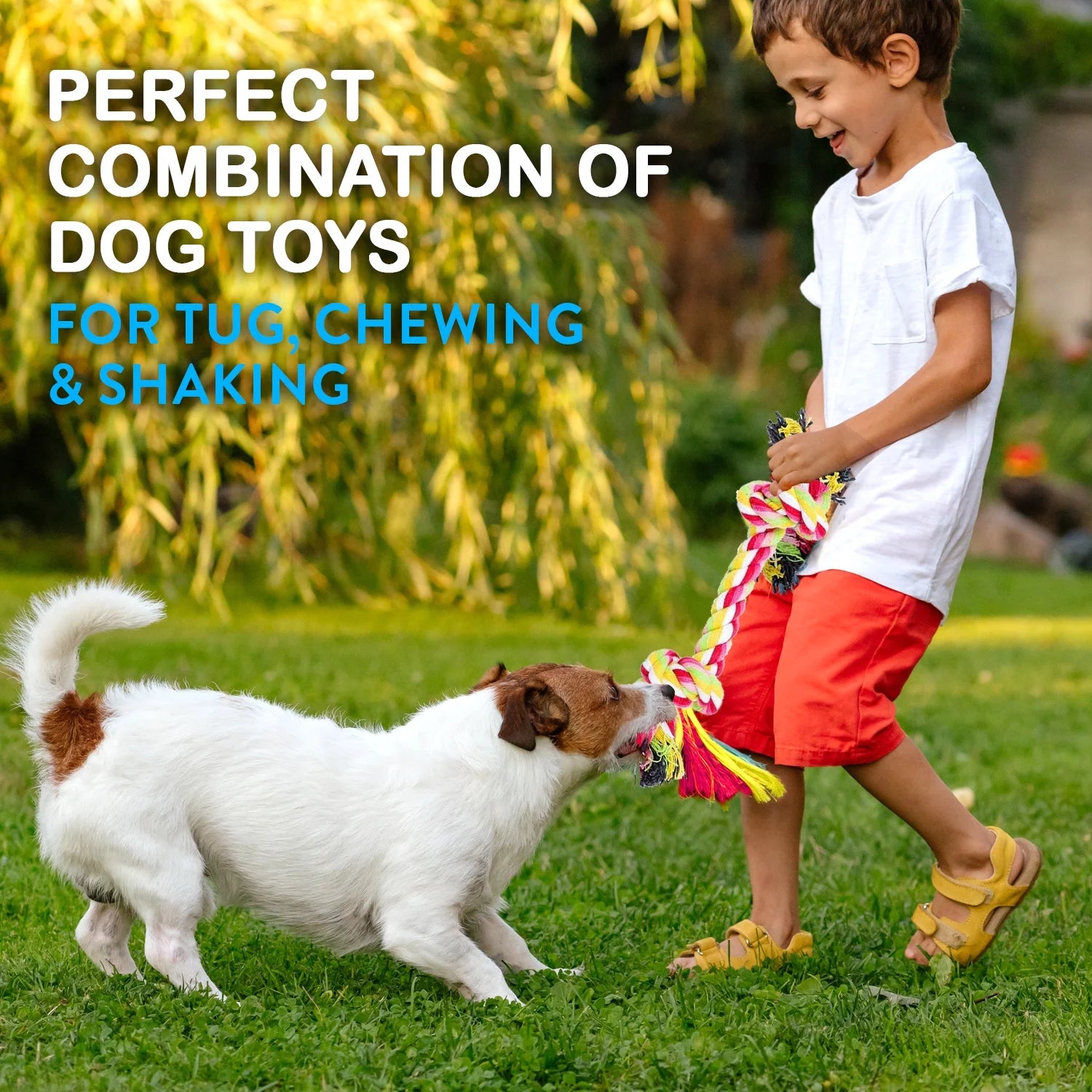 Dog Rope Toy Set for Small and Medium Breeds - 11-Piece Puppy Teething Collection