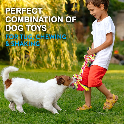 Dog Rope Toy Set for Small and Medium Breeds - 11-Piece Puppy Teething Collection