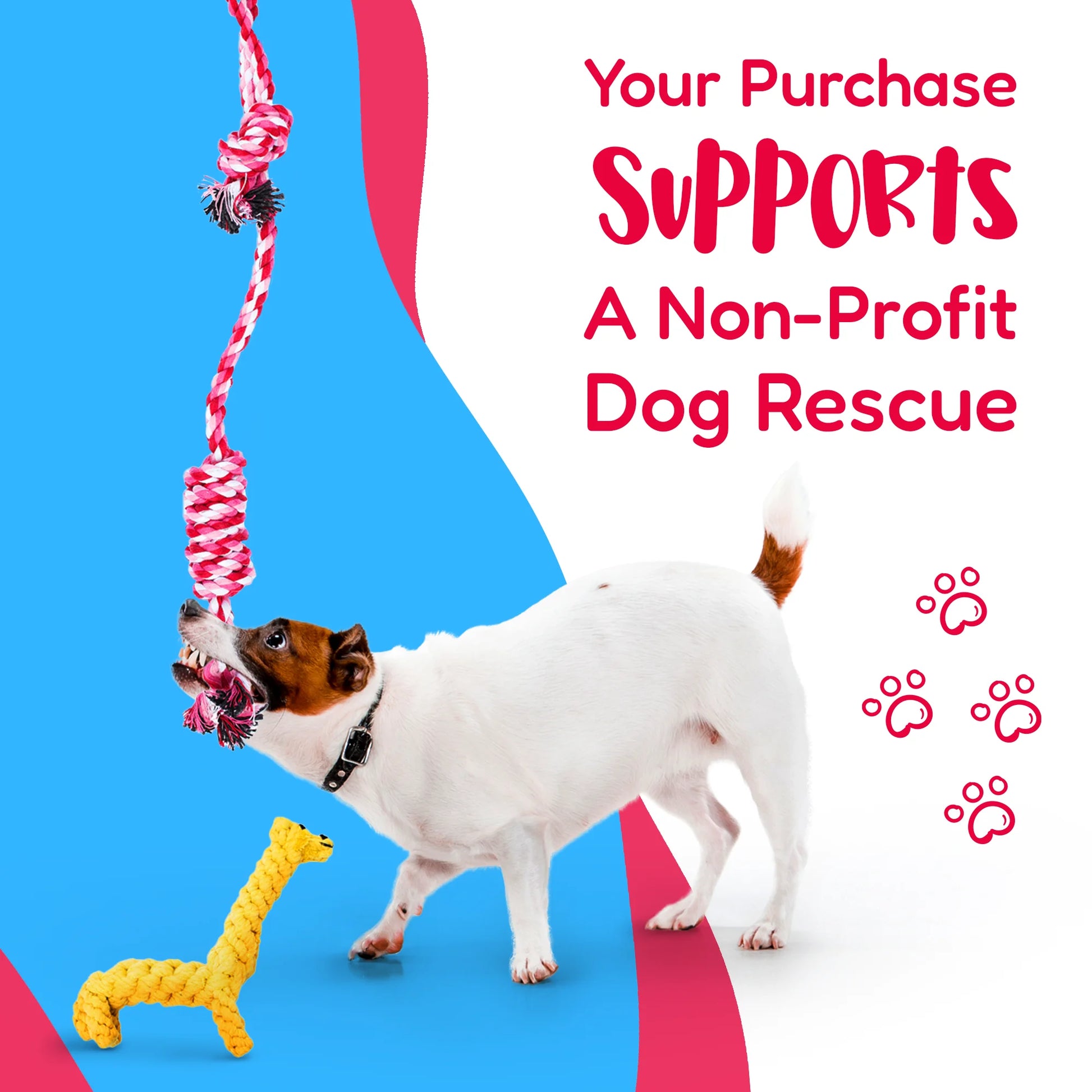 Dog Rope Toy Set for Small and Medium Breeds - 11-Piece Puppy Teething Collection