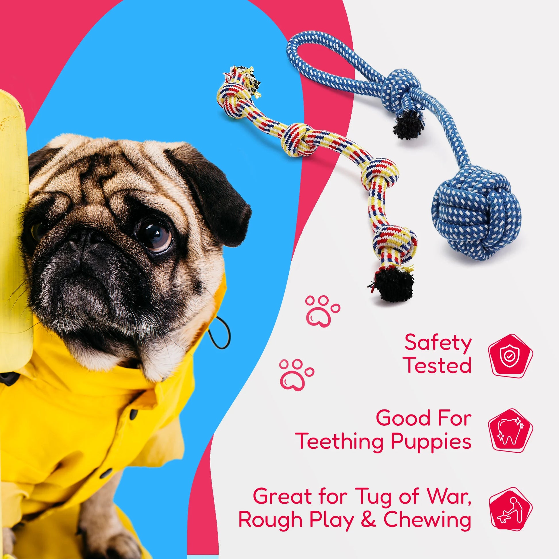 Dog Rope Toy Set for Small and Medium Breeds - 11-Piece Puppy Teething Collection