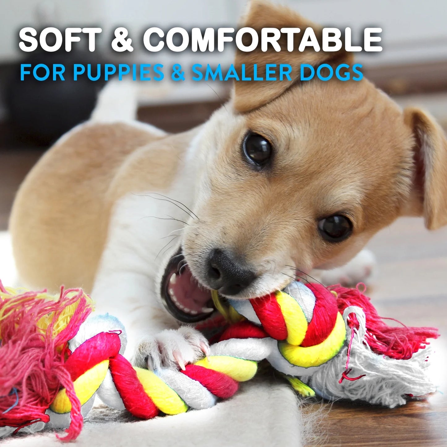Dog Rope Toy Set for Small and Medium Breeds - 11-Piece Puppy Teething Collection