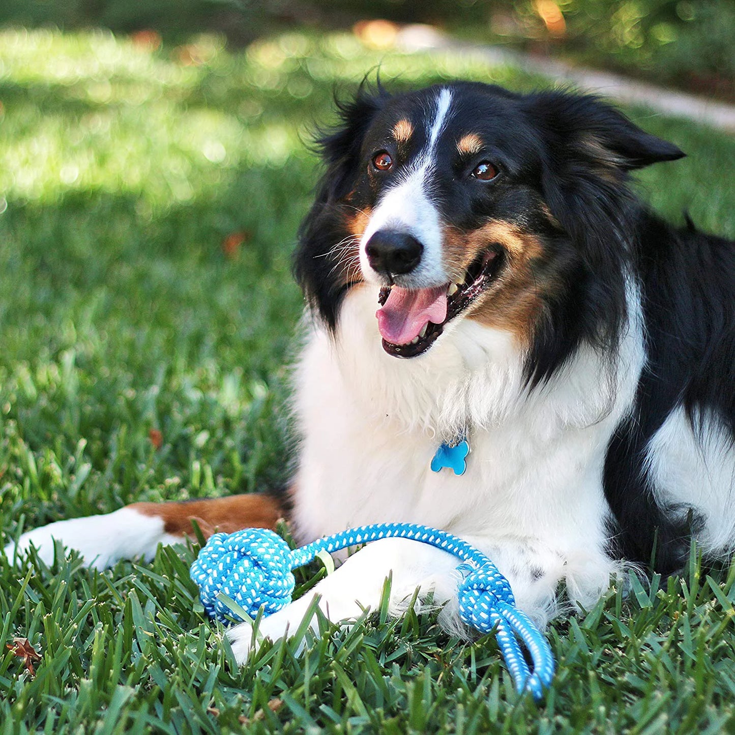 Dog Rope Toy Set for Small and Medium Breeds - 11-Piece Puppy Teething Collection