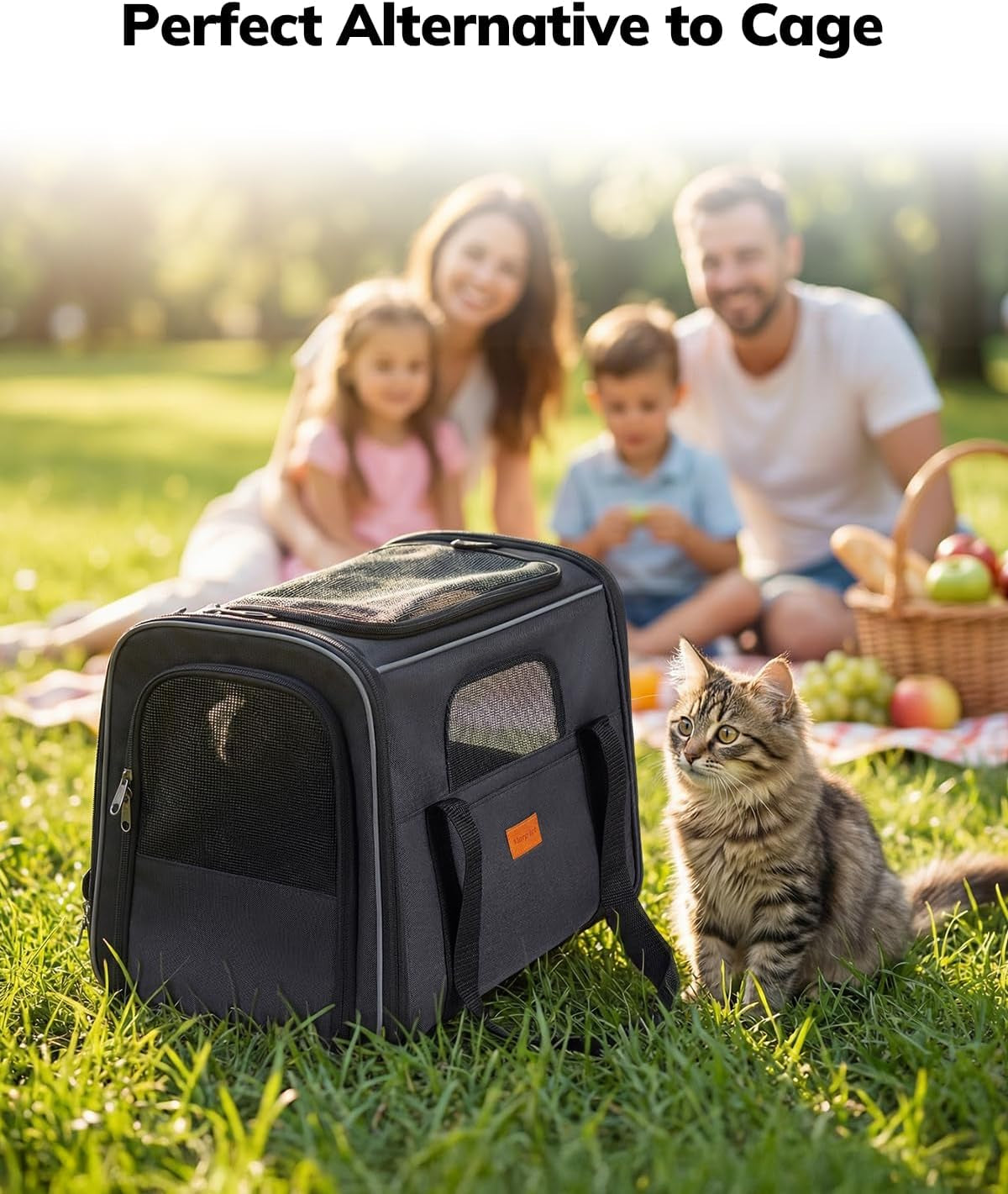 Cat Carrier Soft for Large Medium Cats and Puppy up to 20Lbs | with Dual-Sided Cushion, Secure Buckle and Foldable Bowl, Dog Carriers for Small Dogs - Pet Carrier (Dark Gray)