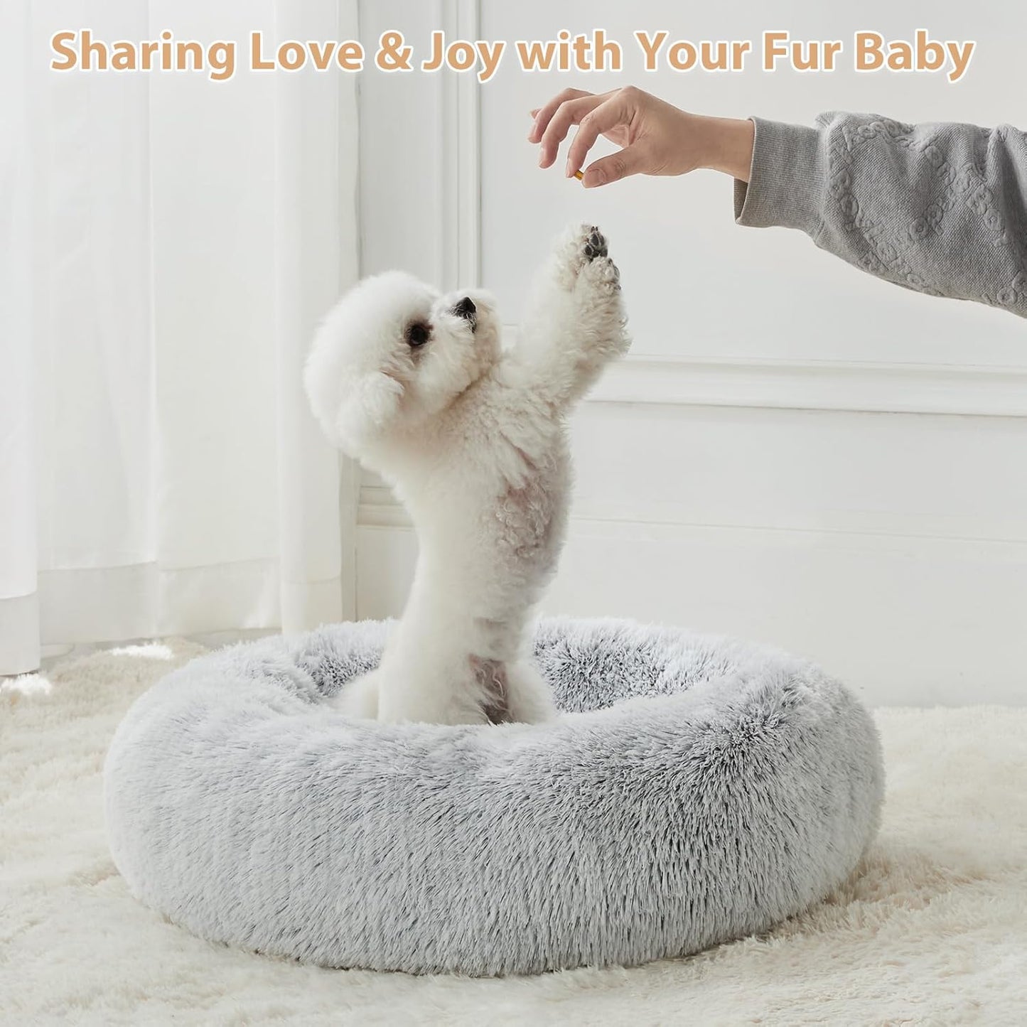 Small Round Calming Dog and Cat Bed for Comfortable Sleep | Washable Plush Donut Cuddler for Small Dogs and Puppies (24x24x8 in, Light Grey)