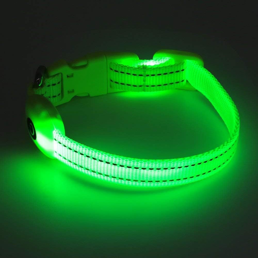 Adjustable LED Dog & Cat Collar - Rechargeable, Small Breeds, Green, 8.5-11.8 Inches, Nylon, Lightweight, Reflective, 2 Flash Modes | Glow in the Dark Rechargeable Reflective Adjustable Flashing Illuminous Safety Dog Lights for Night Walking