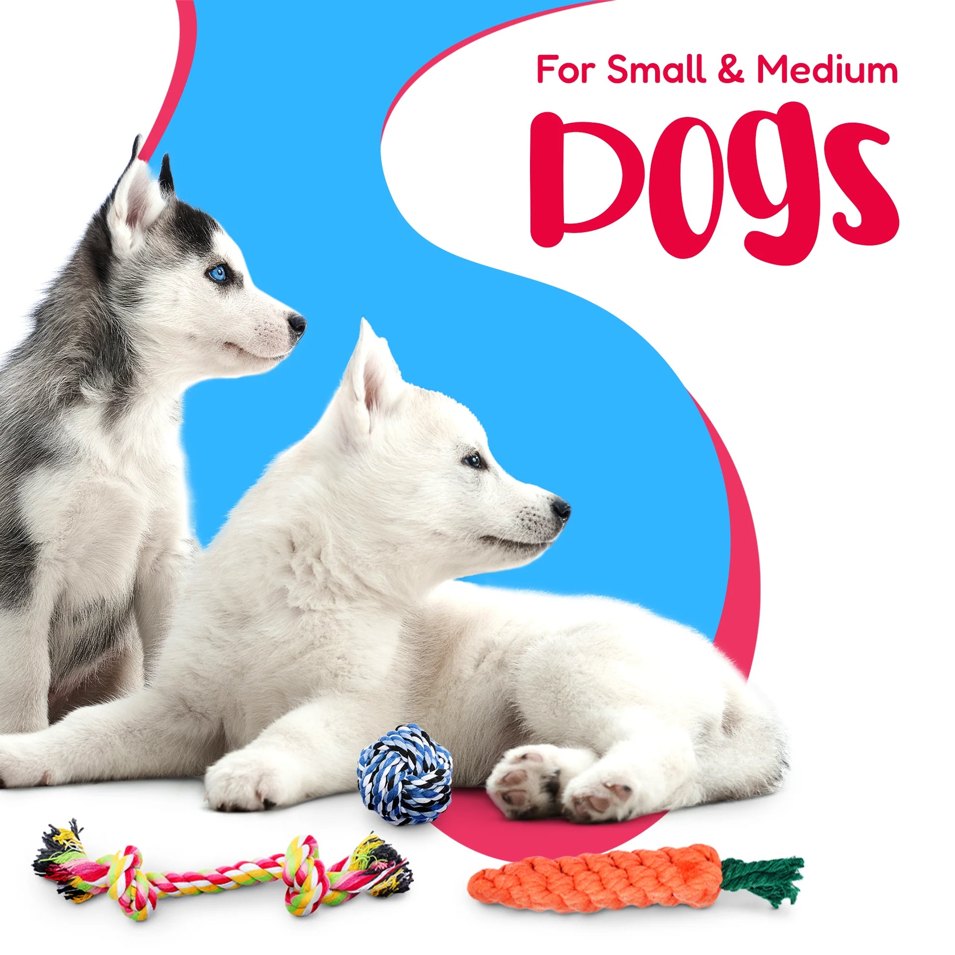 Dog Rope Toy Set for Small and Medium Breeds - 11-Piece Puppy Teething Collection