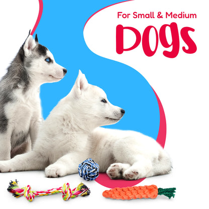 Dog Rope Toy Set for Small and Medium Breeds - 11-Piece Puppy Teething Collection